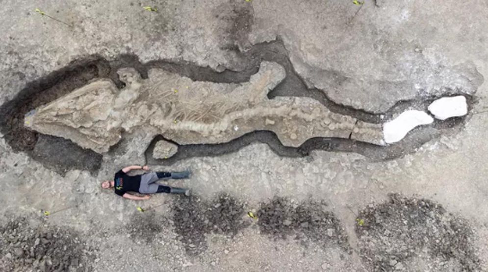 Fosil Naga Laut Raksasa Ditemukan di Inggris